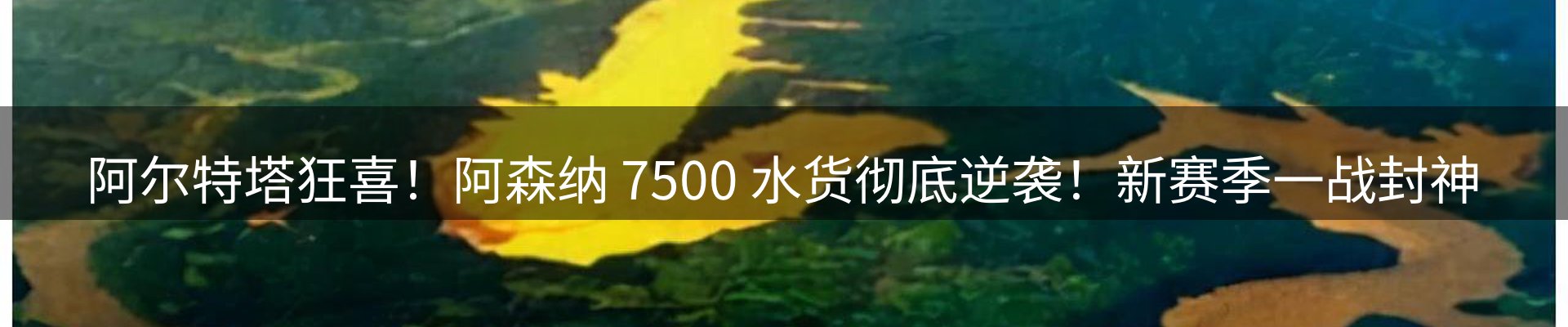 热点资讯